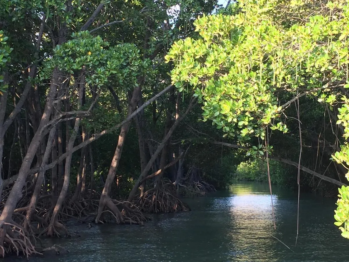 Holiday home Shambhala Retreat Magnetic Island Cottages Nelly Bay